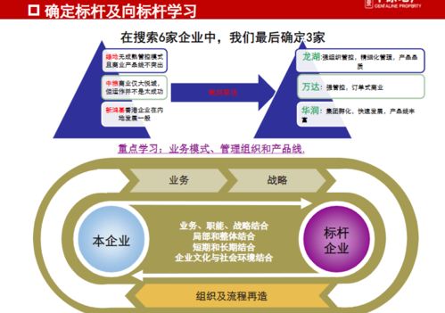 龍湖、萬達(dá)、華潤商業(yè)地產(chǎn)管控與產(chǎn)品線專題研究